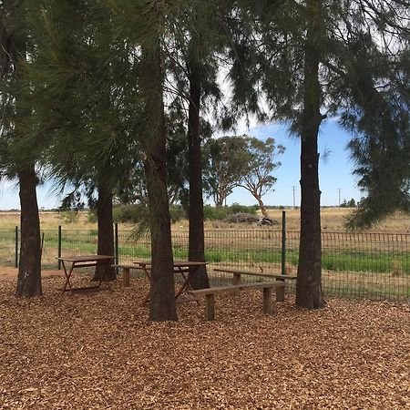 Aussie Cabins Hotel Dubbo Exterior foto